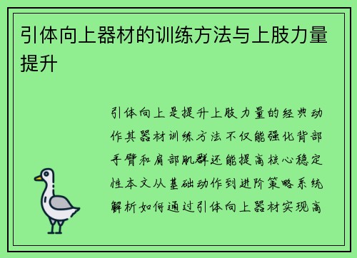 引体向上器材的训练方法与上肢力量提升
