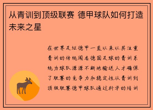 从青训到顶级联赛 德甲球队如何打造未来之星