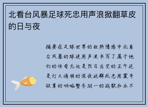 北看台风暴足球死忠用声浪掀翻草皮的日与夜